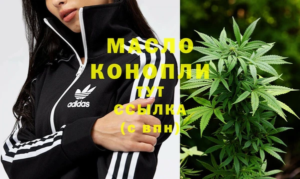 ешки Горняк