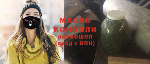 индика Горно-Алтайск