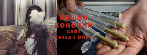 ешки Горняк