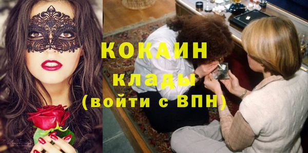 мяу мяу мука Гусь-Хрустальный