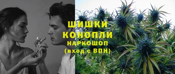 ешки Горняк