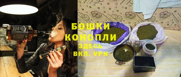 индика Горно-Алтайск