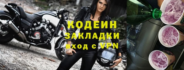 ешки Горняк