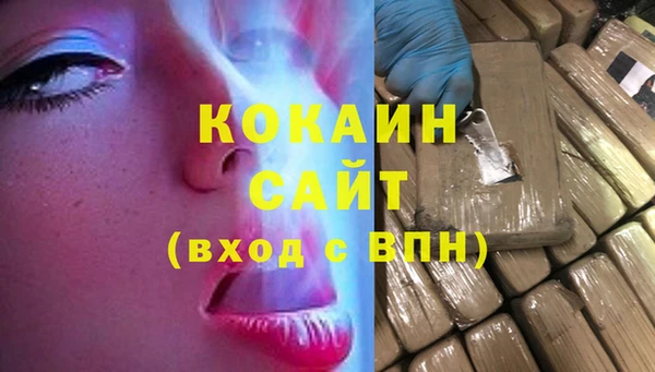 индика Горно-Алтайск
