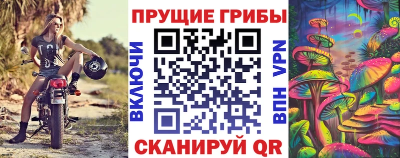 ОМГ ОМГ рабочий сайт  сколько стоит  Зеленогорск  Галлюциногенные грибы Psilocybine cubensis 